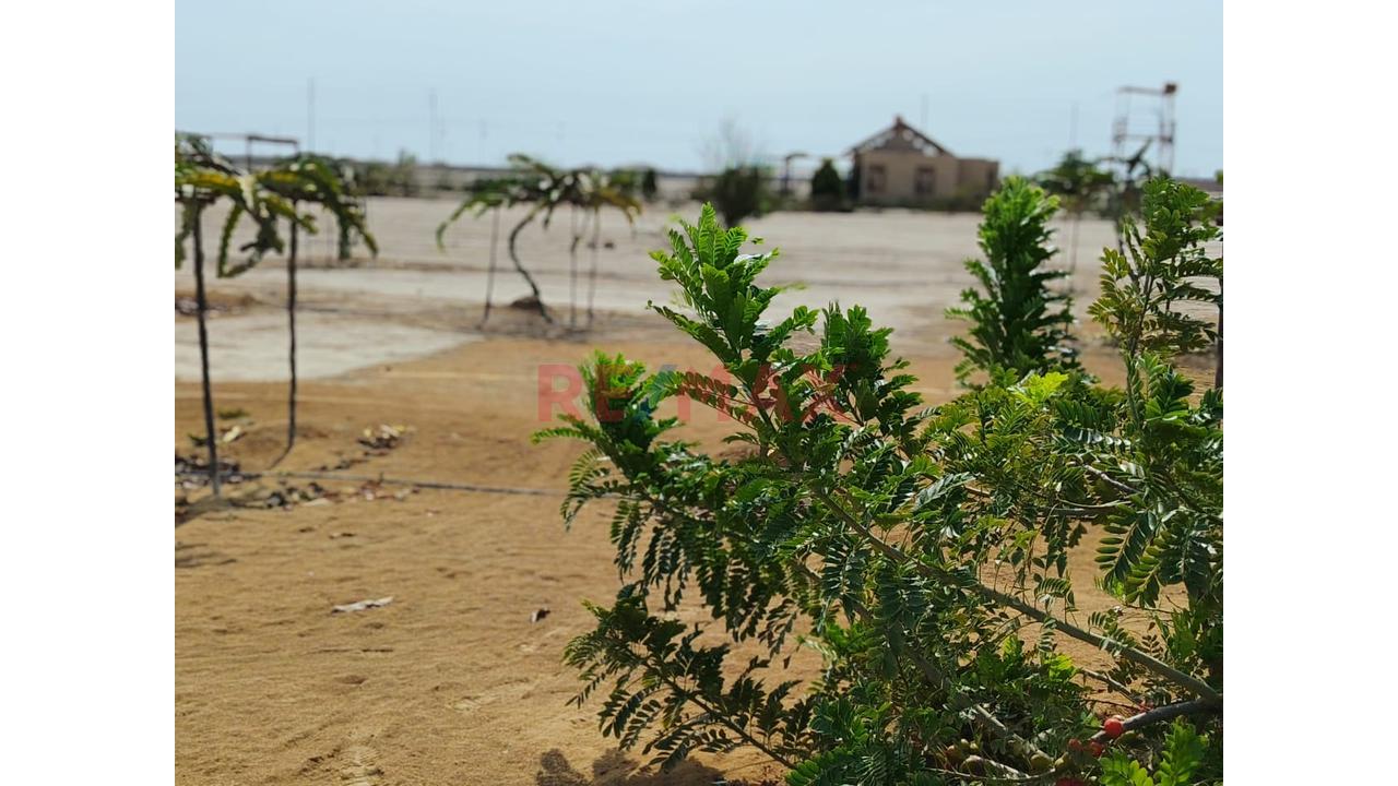 🔹🔥 Oportunidad De Inversión De 10 Hectáreas En Chincha – Grocio Prado | Ideal Para Desarrollo Industrial, Logístico O Agroexportador — foto 2