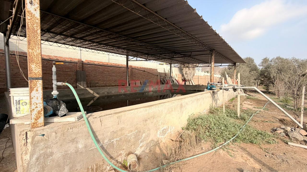 Chilca 5200 M2 Terreno Industrial  ¡Excelente Ubicacion — foto 12