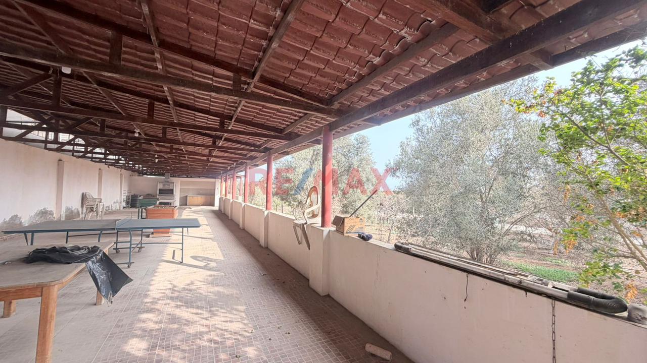 Chilca 5200 M2 Terreno Industrial  ¡Excelente Ubicacion — foto 11