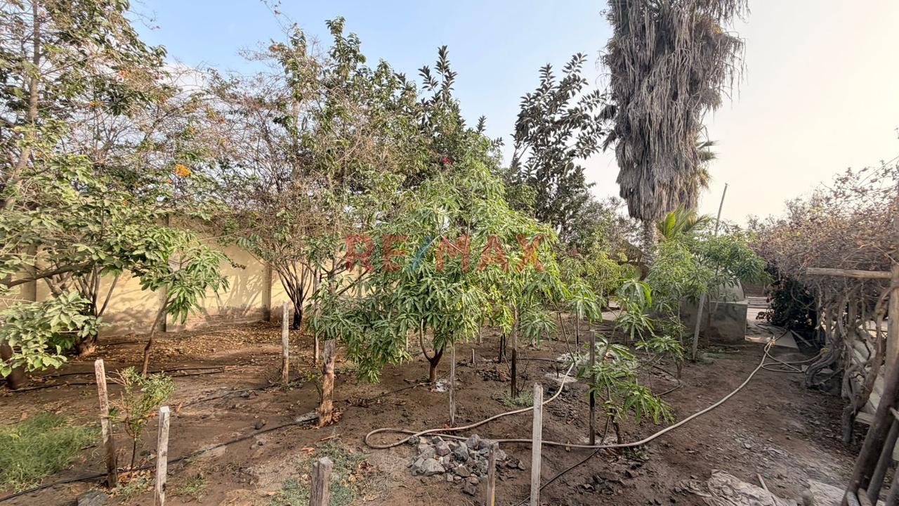 Chilca 5200 M2 Terreno Industrial  ¡Excelente Ubicacion — foto 9