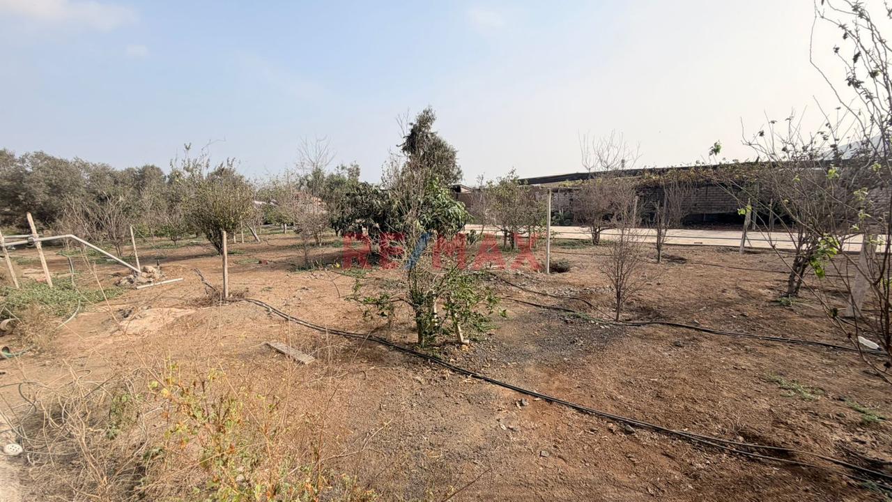 Chilca 5200 M2 Terreno Industrial  ¡Excelente Ubicacion — foto 10