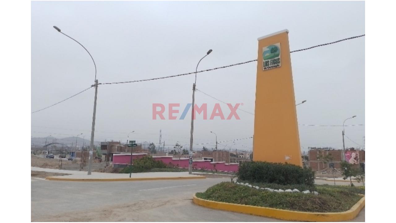 Se Vende Terreno En Urbanización Los Ficus En Carabayllo — foto 4