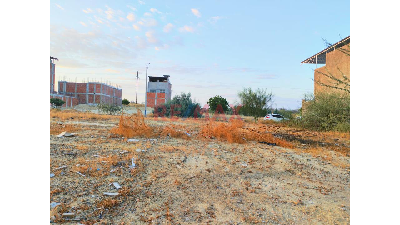 Terreno de ocasión ubicado en Castilla Terreno de ocasión ubicado en Castilla