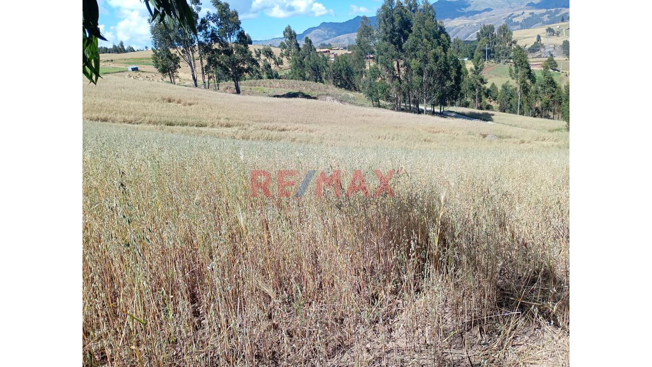 Venta De Terreno Rural En Huaypo – Chinchero, Cusco - 6