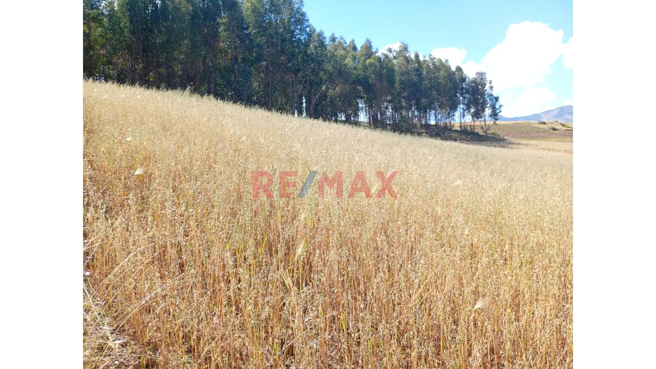 Venta De Terreno Rural En Huaypo – Chinchero, Cusco - 7