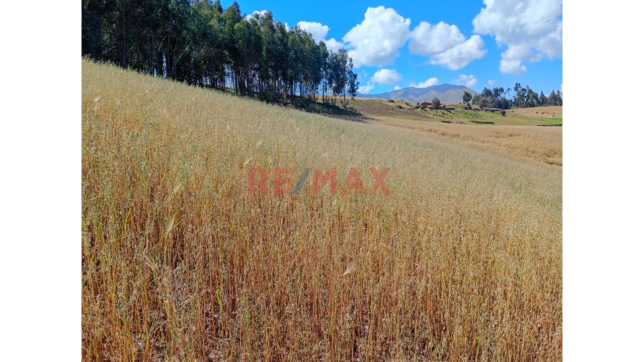 Venta De Terreno Rural En Huaypo – Chinchero, Cusco - 4