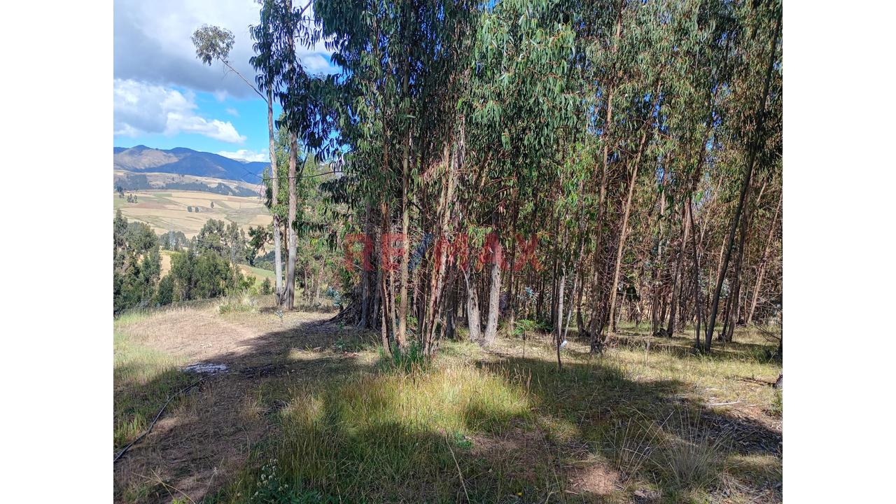 Venta De Terreno Rural En Huaypo – Chinchero, Cusco - 18