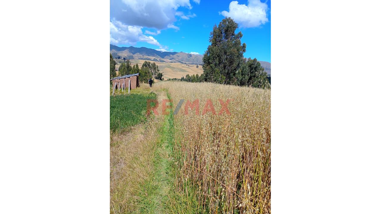 Venta De Terreno Rural En Huaypo – Chinchero, Cusco - 12