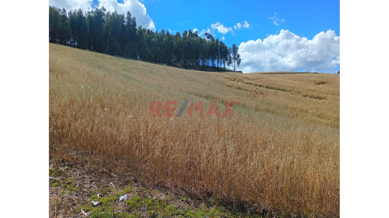 Venta De Terreno Rural En Huaypo – Chinchero, Cusco - 16