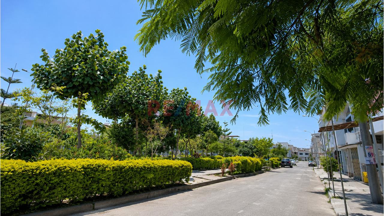 Terreno 160 M² Frente A Parque | Virgen De Cocharcas | Villa El Salvador | Inversión Segura — foto 7
