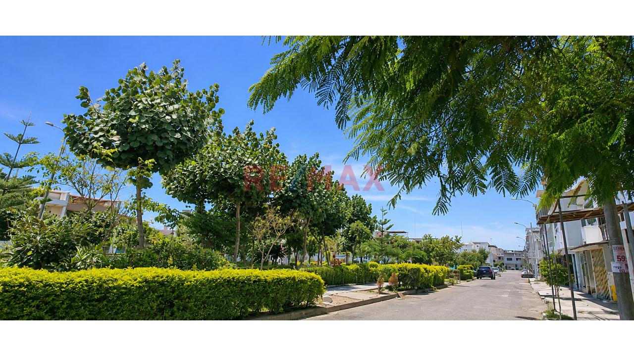 Terreno 160 M² Frente A Parque | Virgen De Cocharcas | Villa El Salvador | Inversión Segura — foto 2