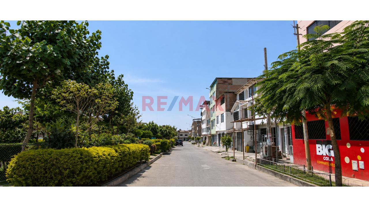 Terreno 160 M² Frente A Parque | Virgen De Cocharcas | Villa El Salvador | Inversión Segura — foto 6