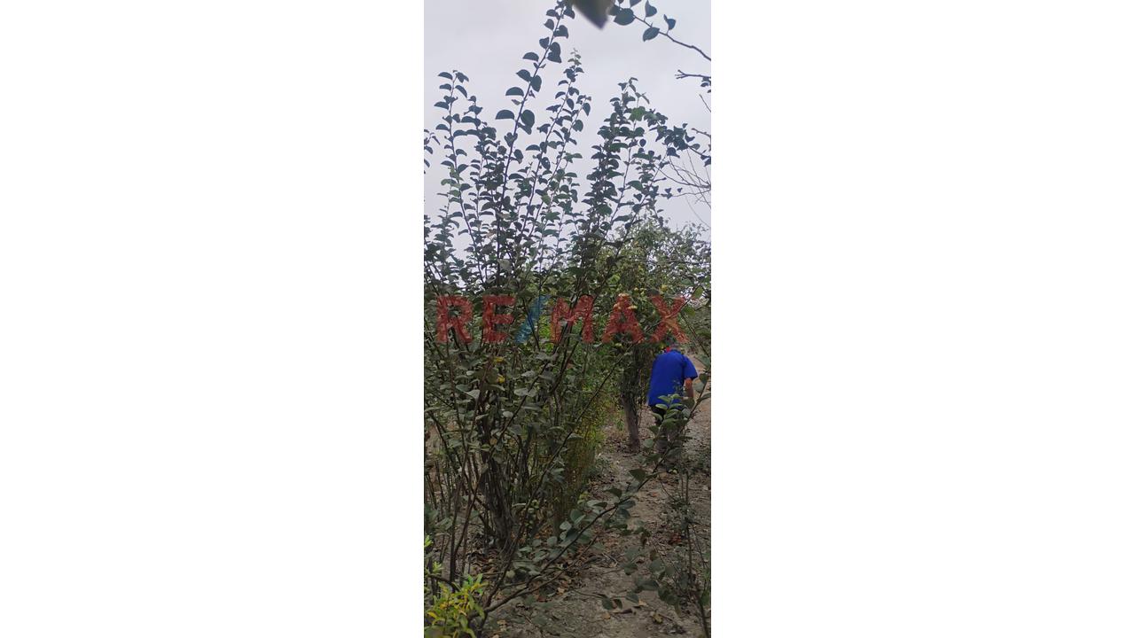 Venta De Terrreno En San Antonio De Cañete — foto 6