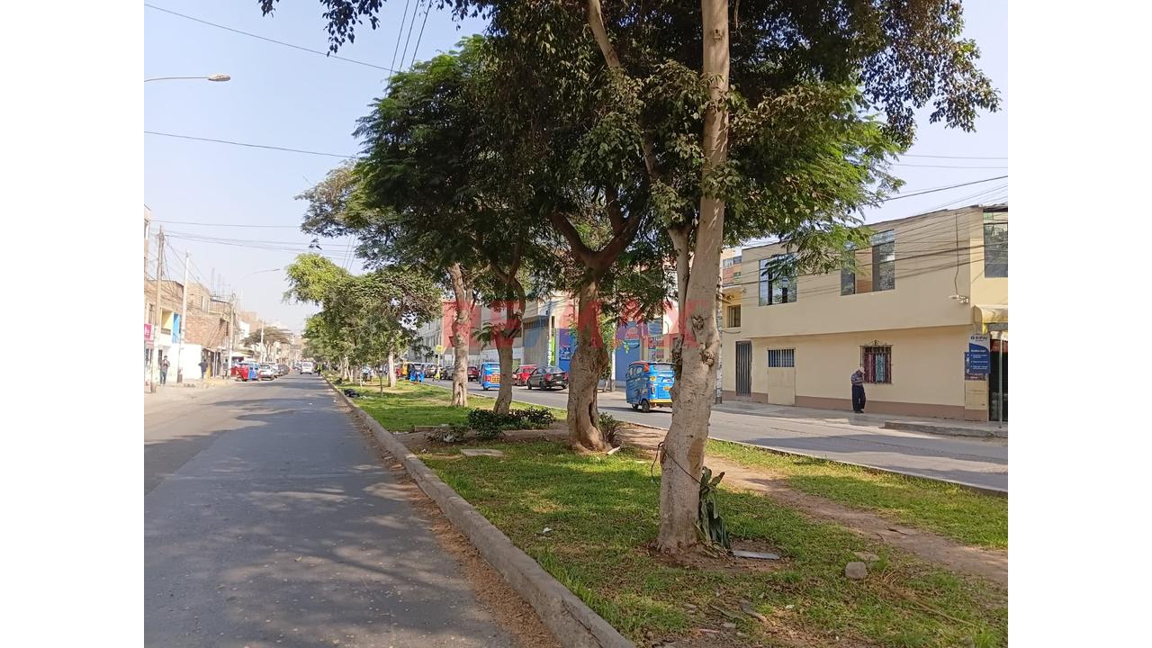 Venta Local Comercial - Hostal | 4 Pisos 433 M² | Los Olivos - 7