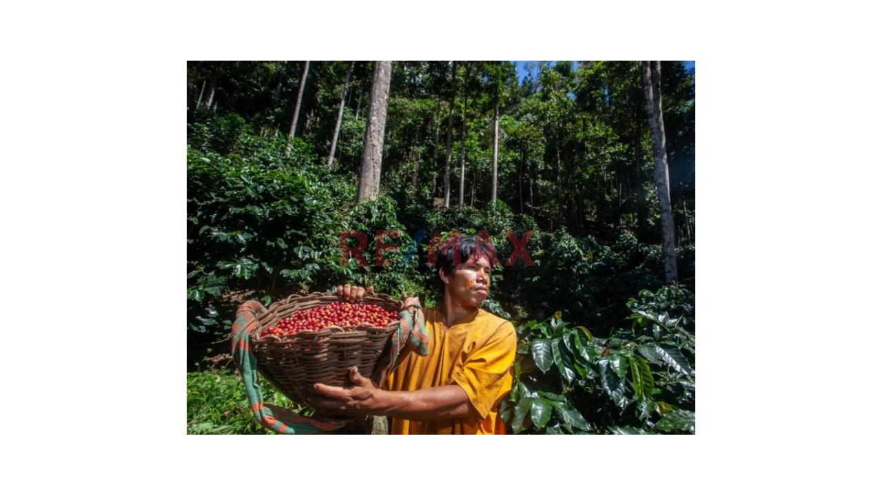 Se Vende Terreno Agricola Y Ecoturístico Con Alto Potencial De Valorización De 25 Hetáreas - 6