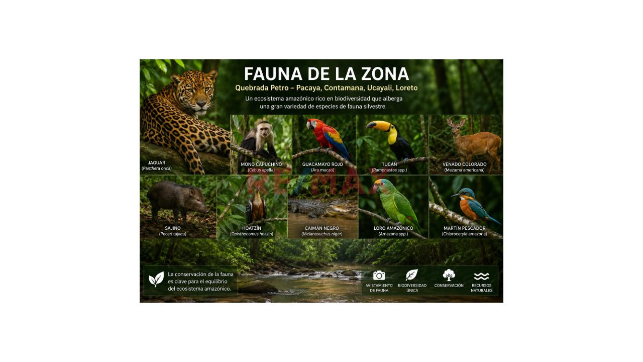Se Vende Terreno Agricola Y Ecoturístico Con Alto Potencial De Valorización De 25 Hetáreas - 9