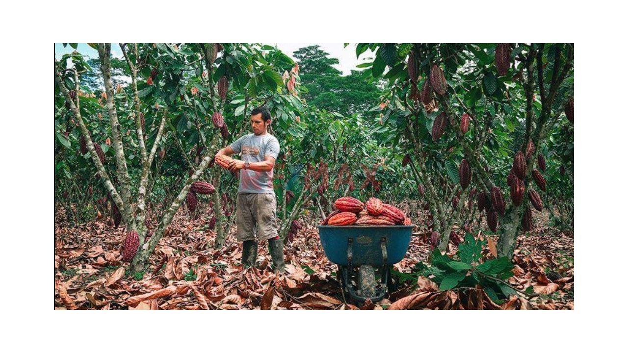 Se Vende Terreno Agricola Y Ecoturístico Con Alto Potencial De Valorización De 25 Hetáreas - 5