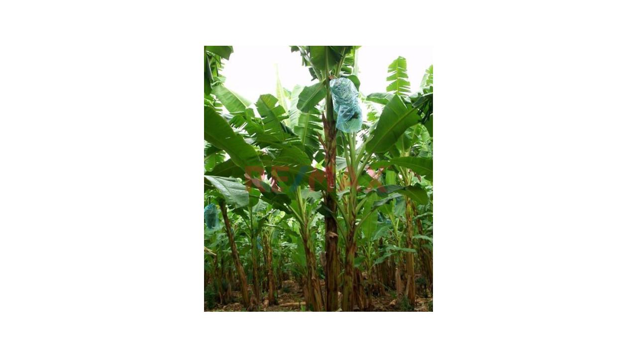 Se Vende Terreno Agricola Y Ecoturístico Con Alto Potencial De Valorización De 25 Hetáreas - 8