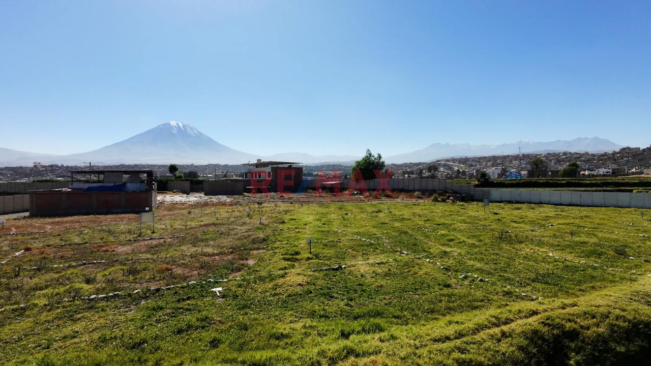 Se Vende Terreno En Los "Olmos" En Socabaya Para Casa De Campo - 10