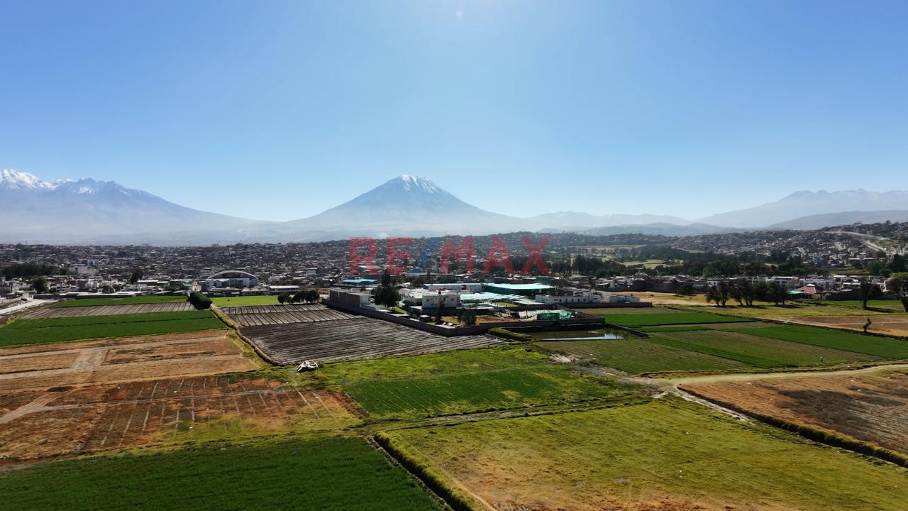 Se Vende Terreno En Los "Olmos" En Socabaya Para Casa De Campo - 2