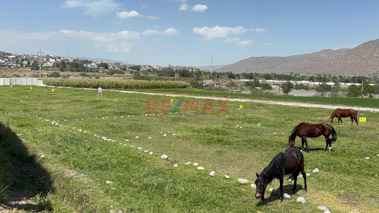 Se Vende Terreno En Los "Olmos" En Socabaya Para Casa De Campo - 8