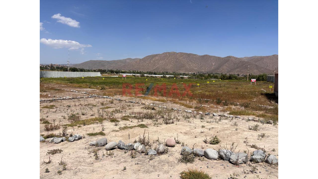 Se Vende Terreno En Los "Olmos" En Socabaya Para Casa De Campo - 4