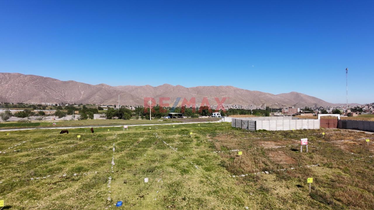 Se Vende Terreno En Los "Olmos" En Socabaya Para Casa De Campo - 3