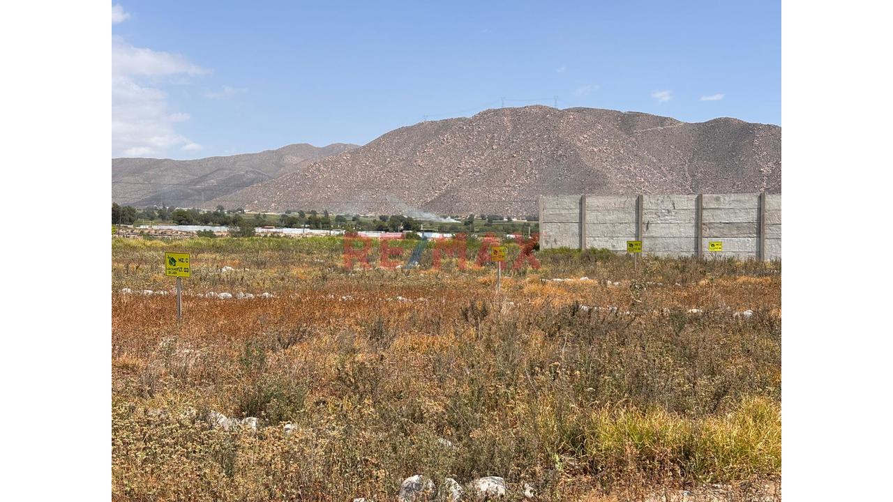 Se Vende Terreno En Los "Olmos" En Socabaya Para Casa De Campo - 7