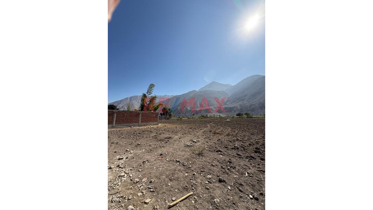 Se Vende Terreno 8000 M En Pacarán , Lunahuaná — foto 3