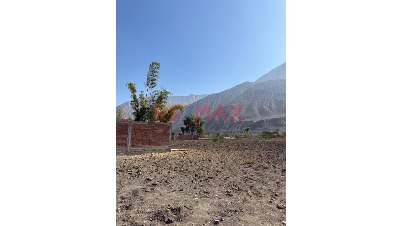 Se Vende Terreno 8000 M En Pacarán , Lunahuaná — foto 7