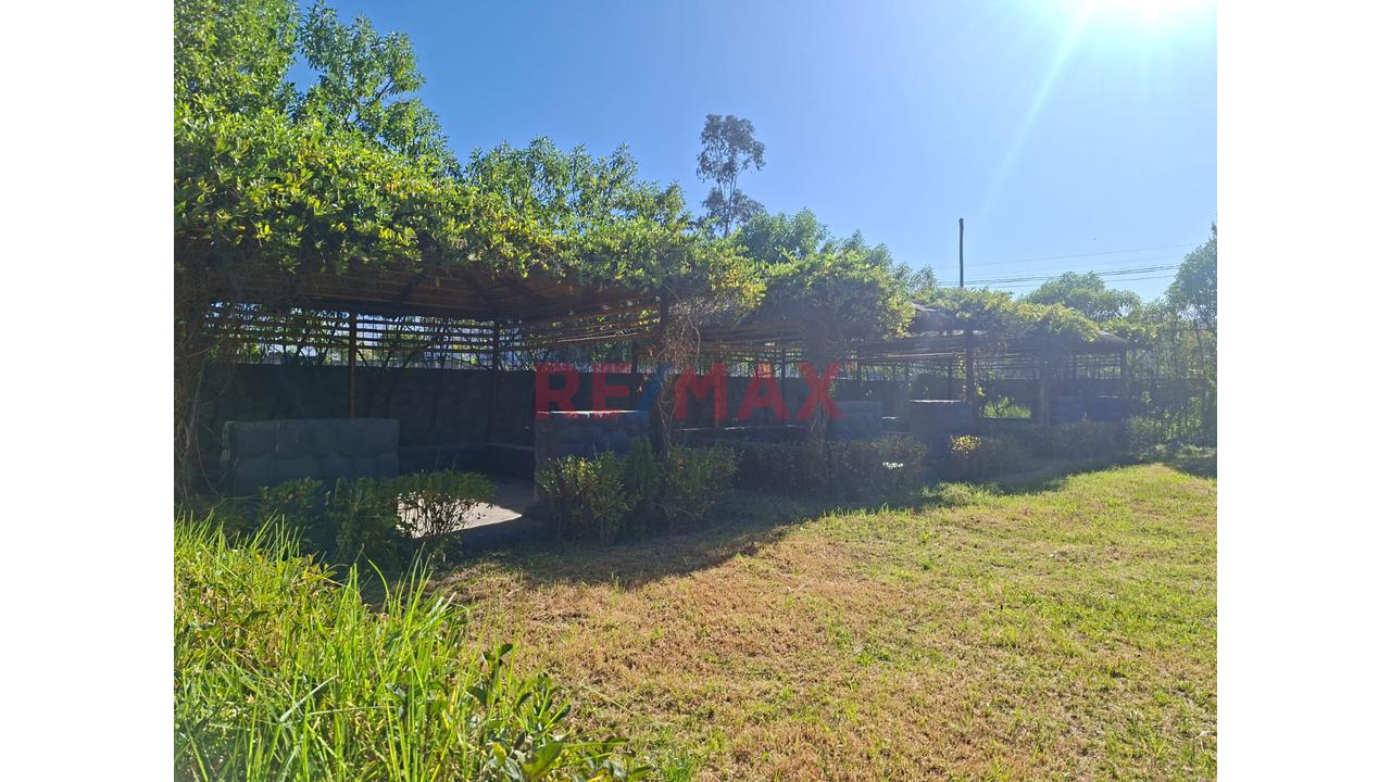Local Comercial En Alquiler - 3
