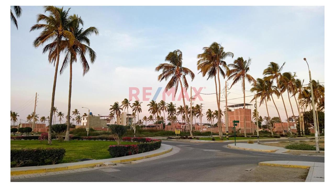 🔥 Terreno En Venta En Las Palmeras De Centenario– Castilla | Ideal Para Vivienda O Proyecto Inmobiliario 🔥 — foto 3