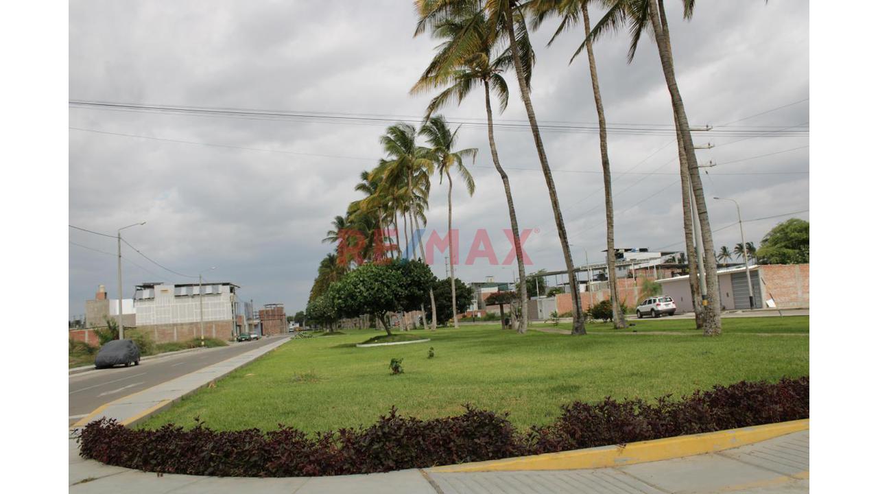 🔥 Terreno En Venta En Las Palmeras De Centenario– Castilla | Ideal Para Vivienda O Proyecto Inmobiliario 🔥 — foto 4