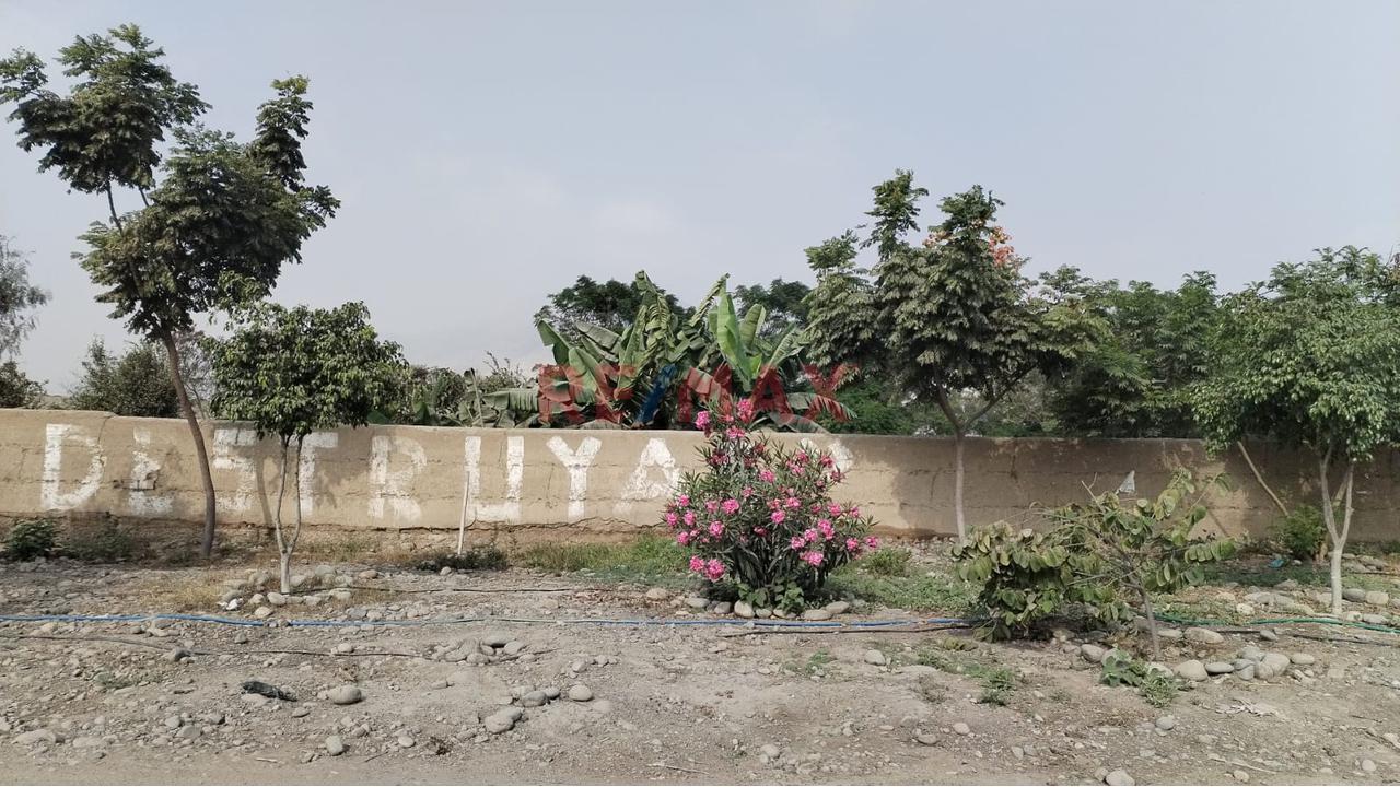 Terreno en Carabayllo — foto 3