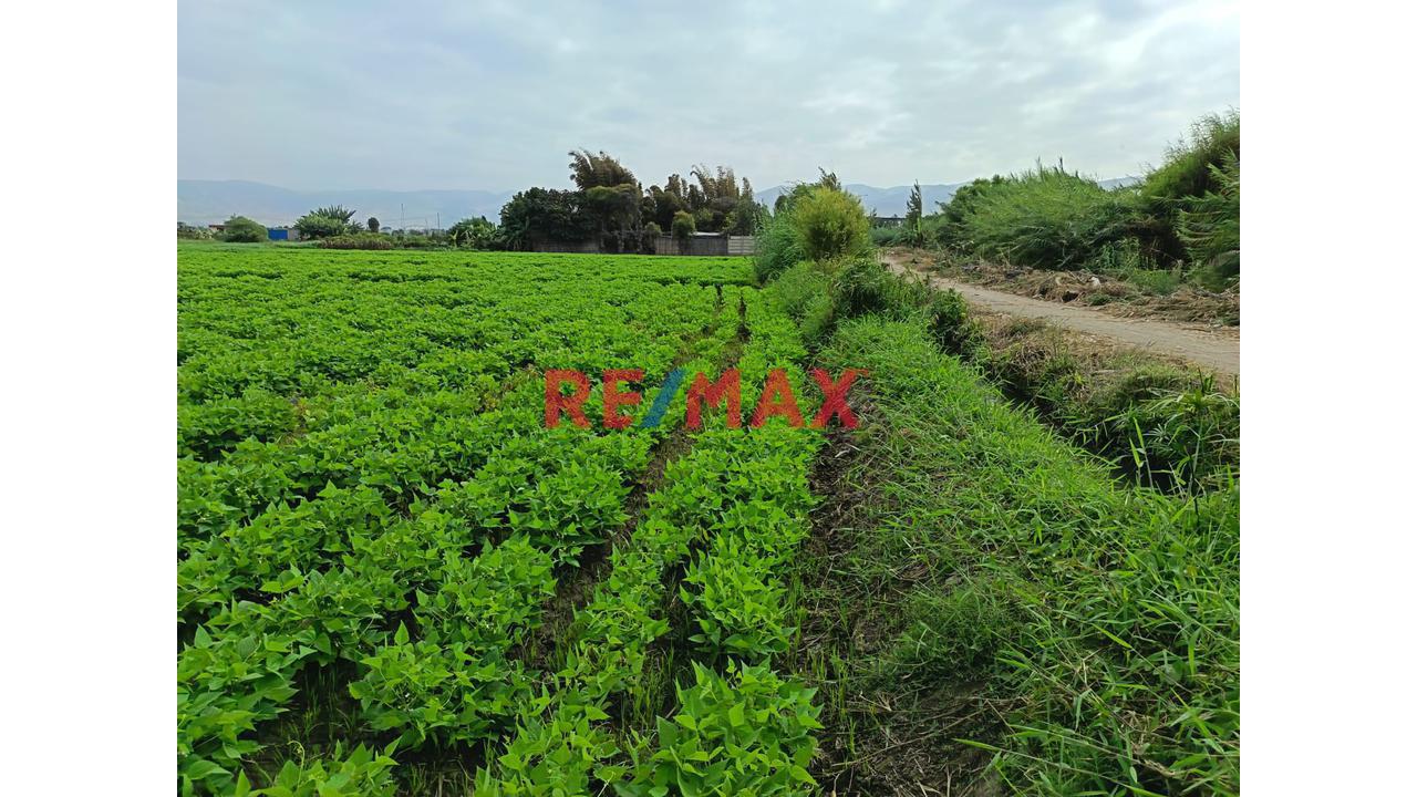 Terreno Agricola En Venta - La Deheza – Camana - 1