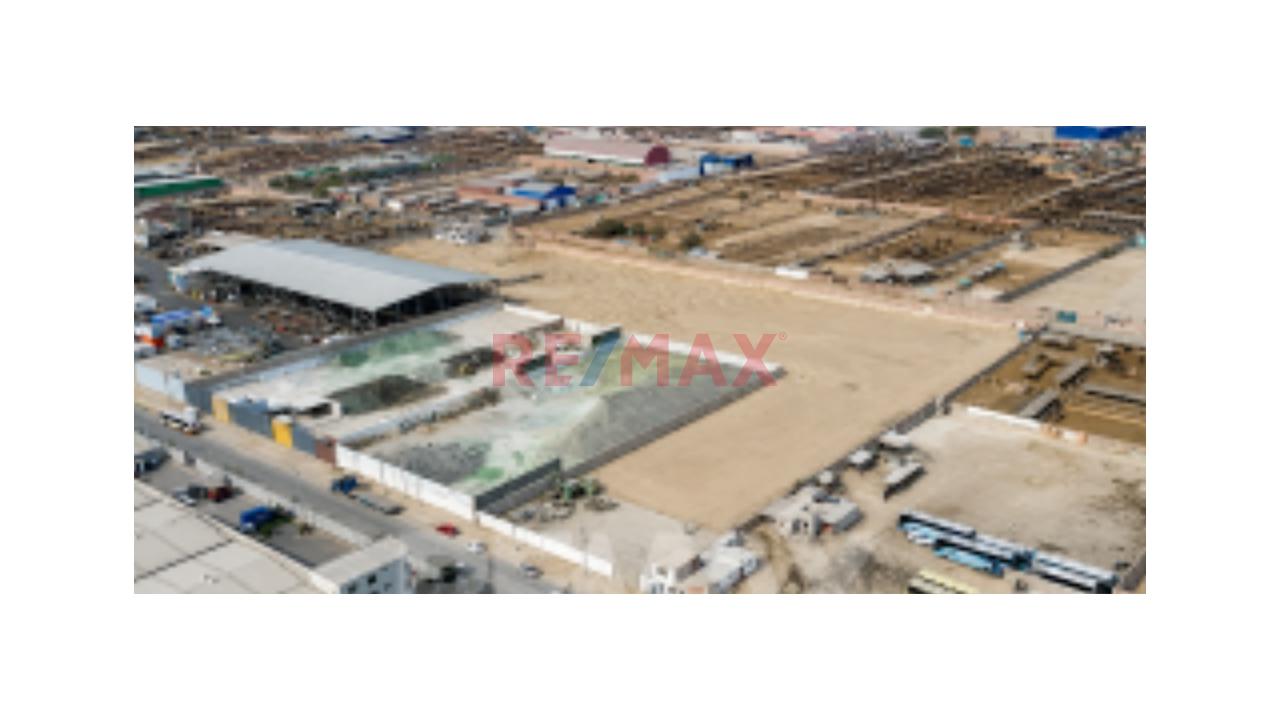 Venta De Terreno De 15,000 M2 En Lurín — foto 5