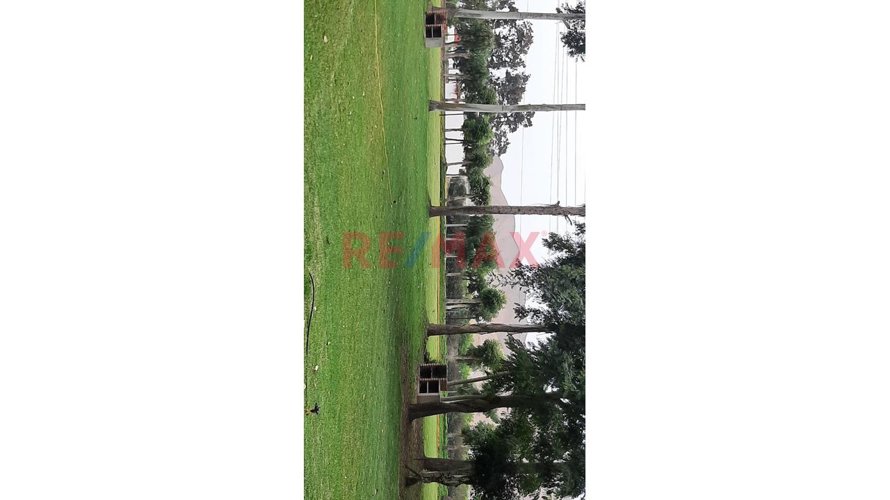 Vendo Terreno 200 M2 En Cañete — foto 6
