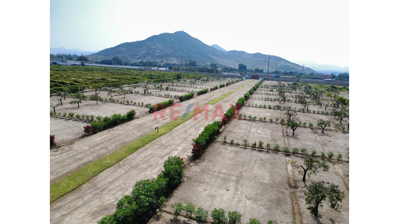 "Lotes De 300 M² Desde Us$ 30,000 En Huaral | Piscina Inatalada, Financiamiento Directo Y Alta Valorización" - 10