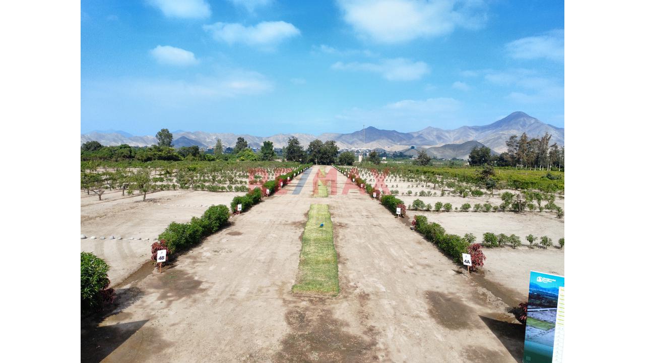 "Lotes De 300 M² Desde Us$ 30,000 En Huaral | Piscina Inatalada, Financiamiento Directo Y Alta Valorización" - 6