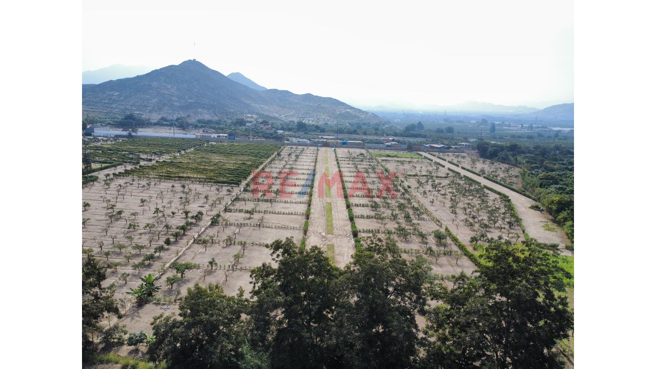 "Lotes De 300 M² Desde Us$ 30,000 En Huaral | Piscina Inatalada, Financiamiento Directo Y Alta Valorización" - 9