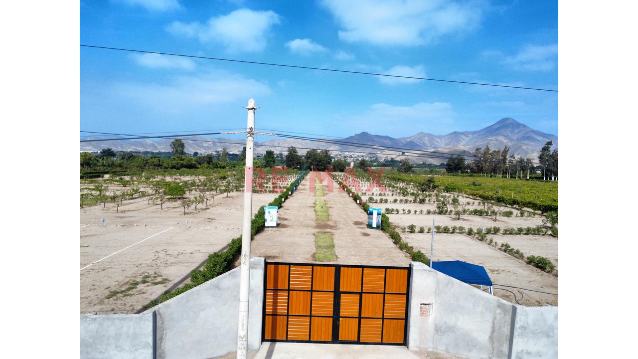 "Lotes De 300 M² Desde Us$ 30,000 En Huaral | Piscina Inatalada, Financiamiento Directo Y Alta Valorización" - 12