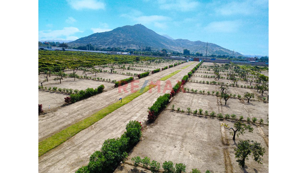 "Lotes De 300 M² Desde Us$ 30,000 En Huaral | Piscina Inatalada, Financiamiento Directo Y Alta Valorización" - 5