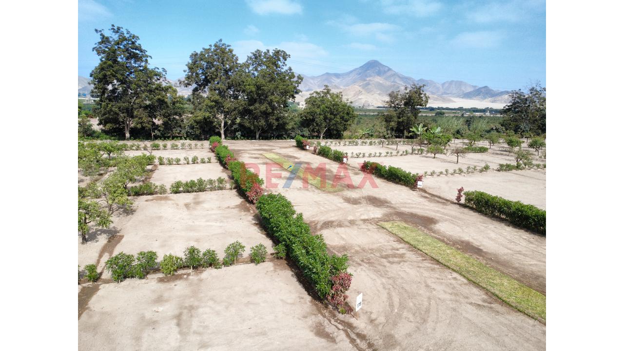 "Lotes De 300 M² Desde Us$ 30,000 En Huaral | Piscina Inatalada, Financiamiento Directo Y Alta Valorización" - 4