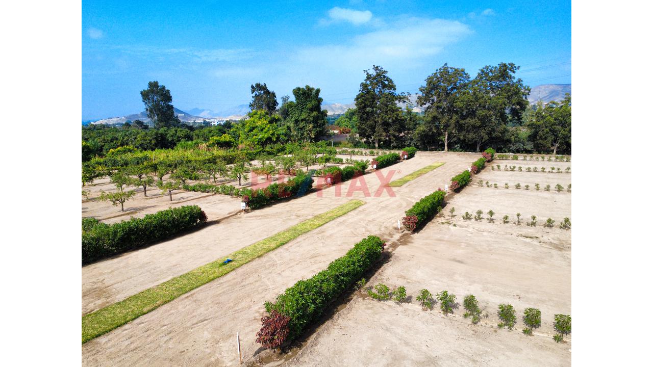 "Lotes De 300 M² Desde Us$ 30,000 En Huaral | Piscina Inatalada, Financiamiento Directo Y Alta Valorización" - 7