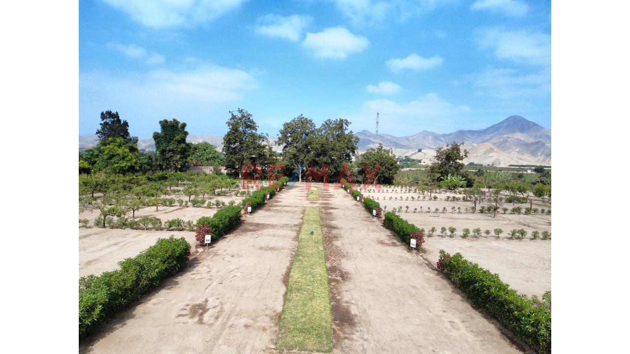"Lotes De 300 M² Desde Us$ 30,000 En Huaral | Piscina Inatalada, Financiamiento Directo Y Alta Valorización" - 8