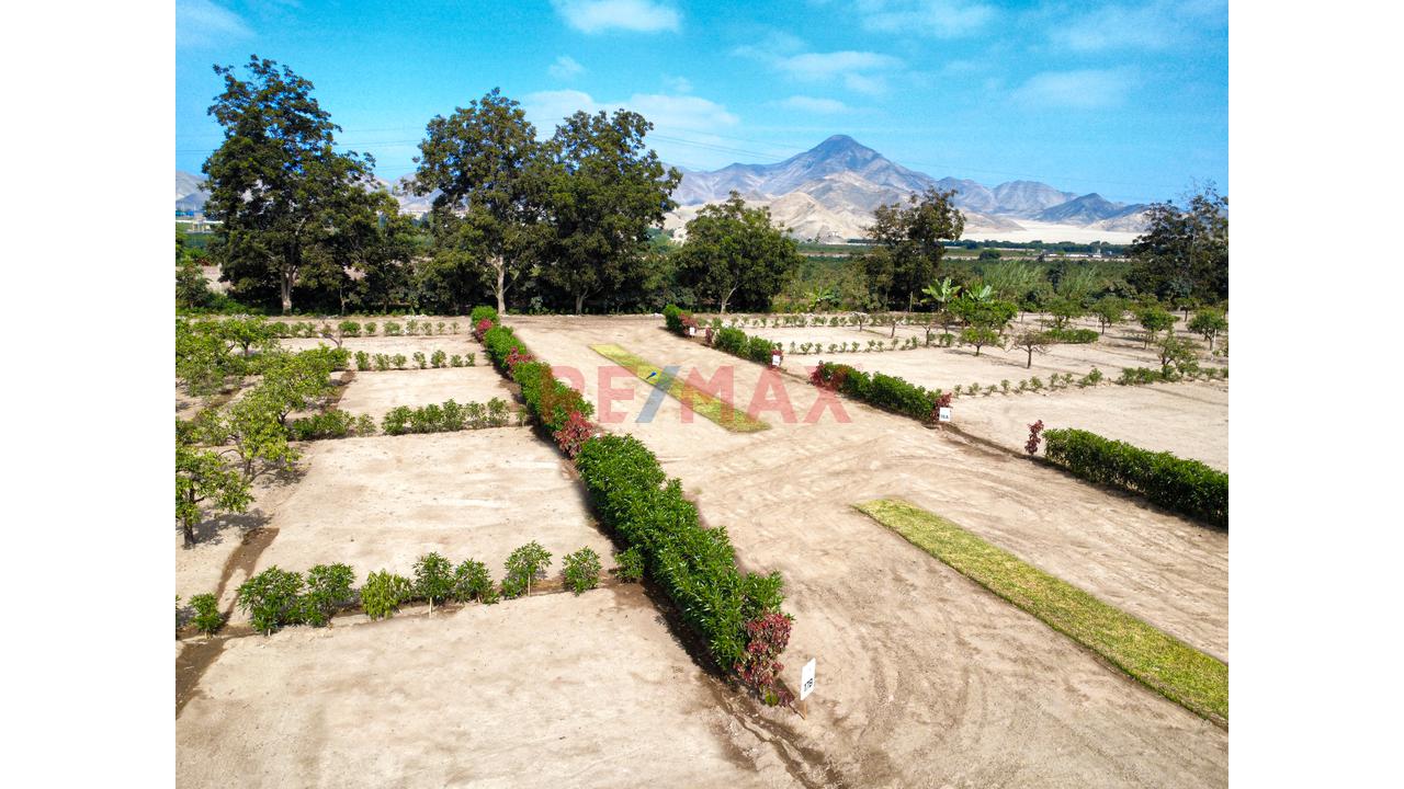 "Lotes De 300 M² Desde Us$ 30,000 En Huaral | Piscina Inatalada, Financiamiento Directo Y Alta Valorización" - 13