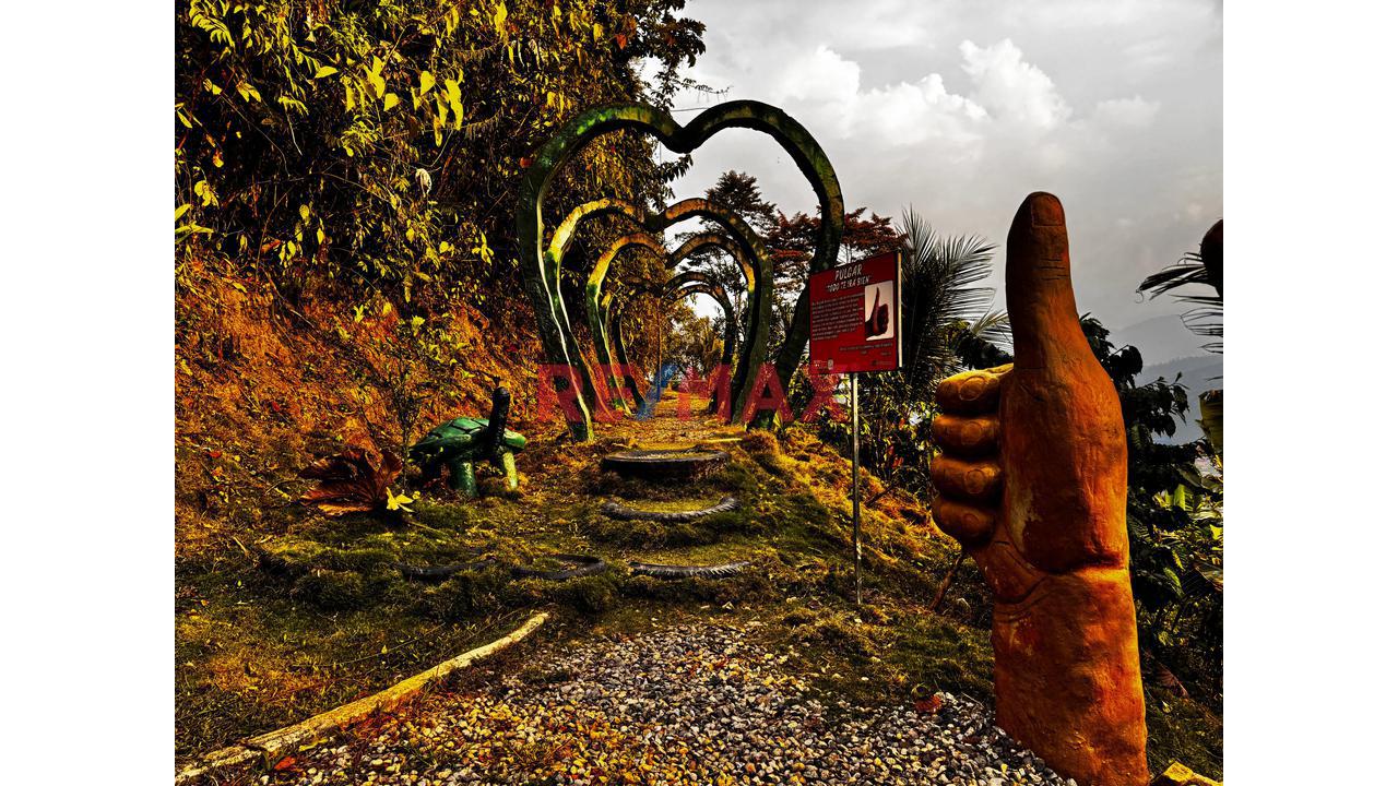 🌿🏞️ ¡Gran Oportunidad De Inversión Turística En La Selva Central! 🏞️🌿 - 6