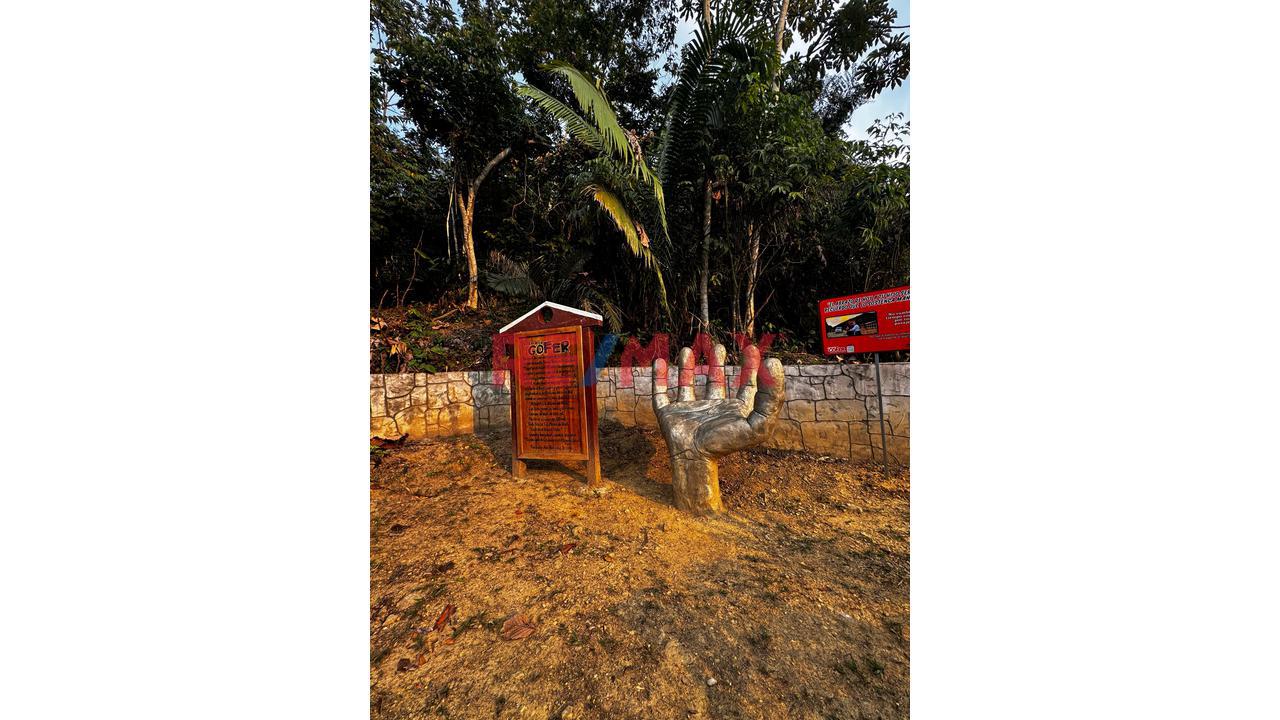 🌿🏞️ ¡Gran Oportunidad De Inversión Turística En La Selva Central! 🏞️🌿 - 8