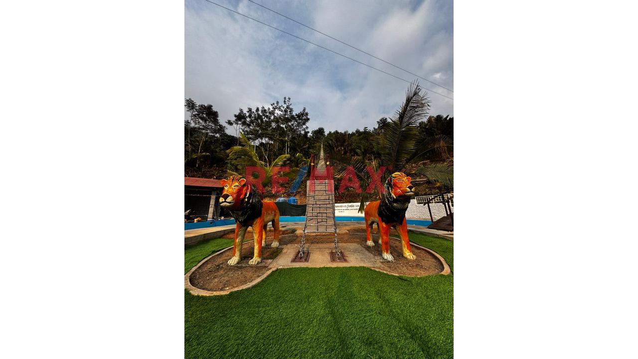 🌿🏞️ ¡Gran Oportunidad De Inversión Turística En La Selva Central! 🏞️🌿 - 5
