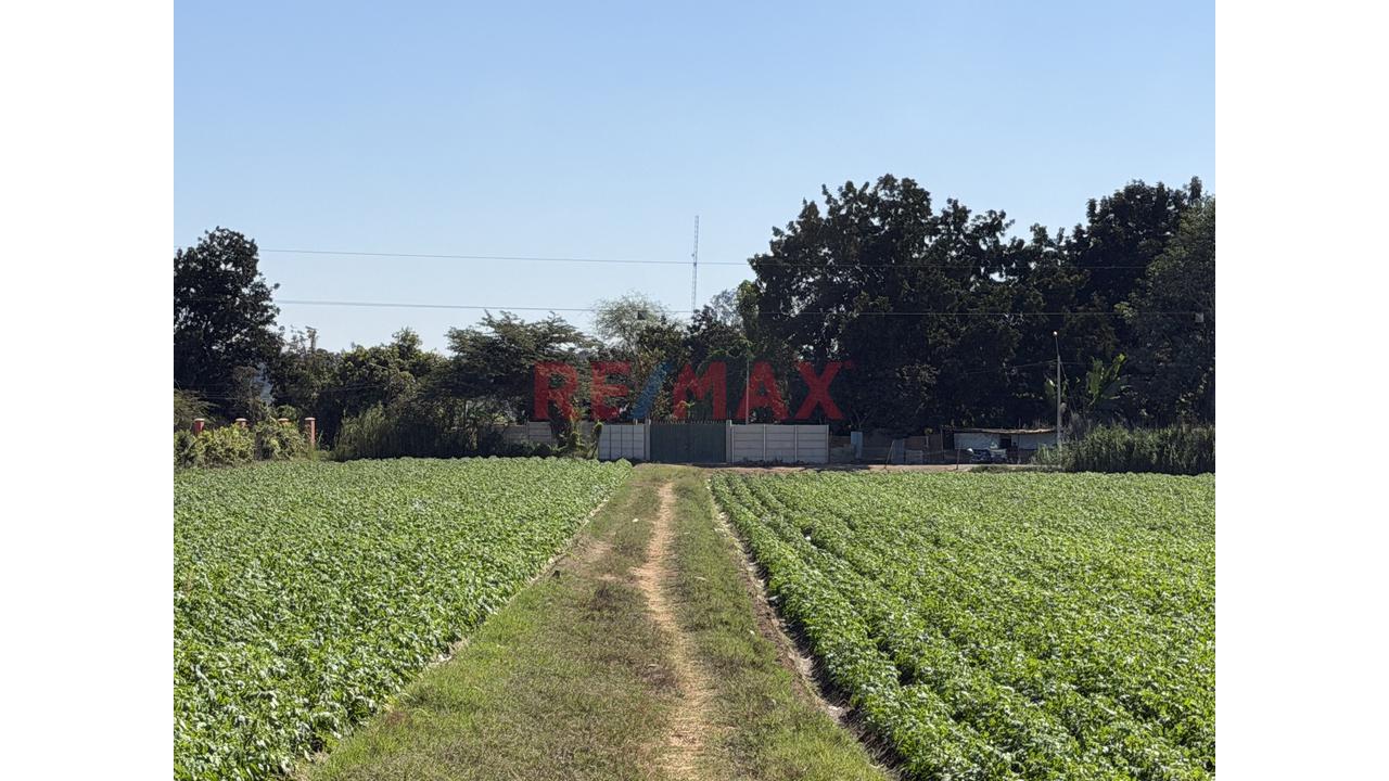 Hectáreas En Venta Al Pie De La Pista - 3